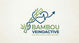 VeinoActive – Accueil